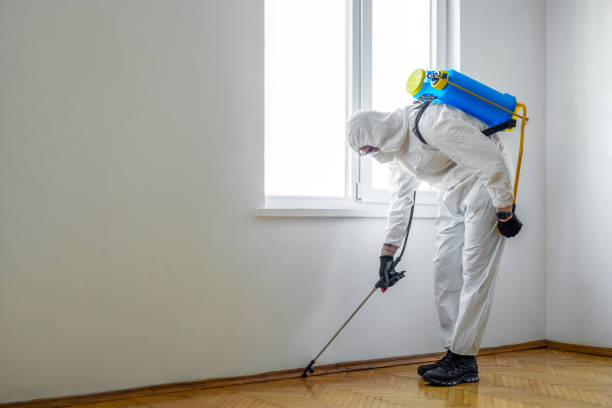 Best Mosquito Control Services  in Chebanse, IL