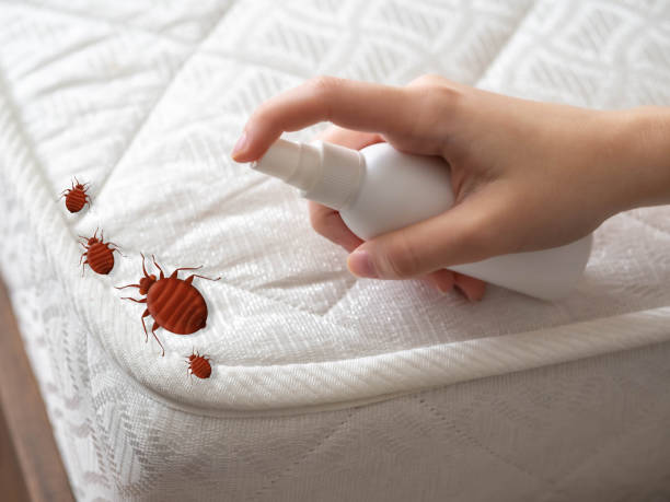 Best Affordable Pest Control Services  in Chebanse, IL